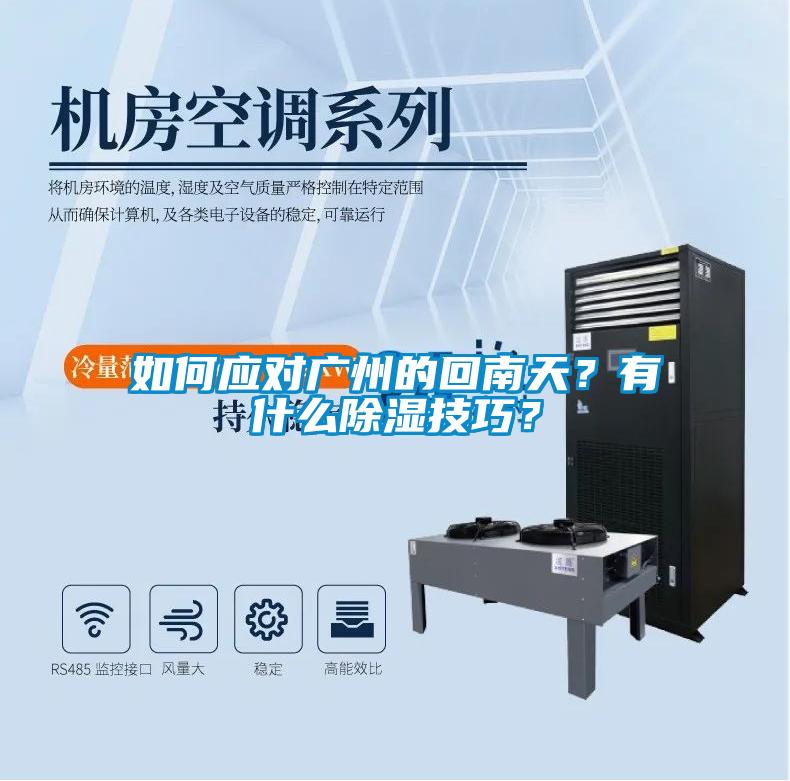 如何應(yīng)對廣州的回南天？有什么除濕技巧？