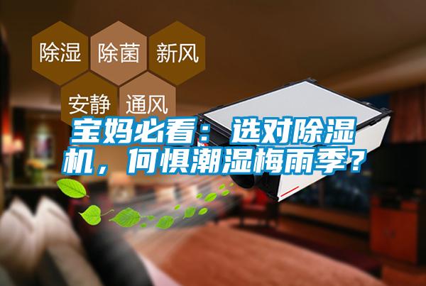 寶媽必看：選對(duì)除濕機(jī)，何懼潮濕梅雨季？