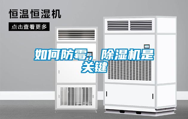 如何防霉，除濕機是關鍵