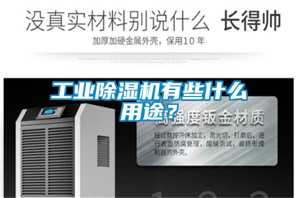 工業(yè)除濕機有些什么用途？