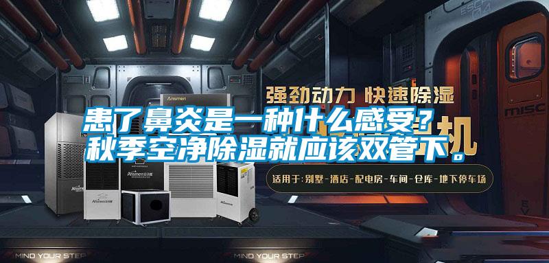 患了鼻炎是一種什么感受？ 秋季空凈除濕就應(yīng)該雙管下。
