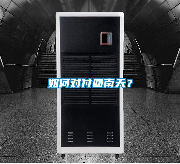 如何對付回南天？