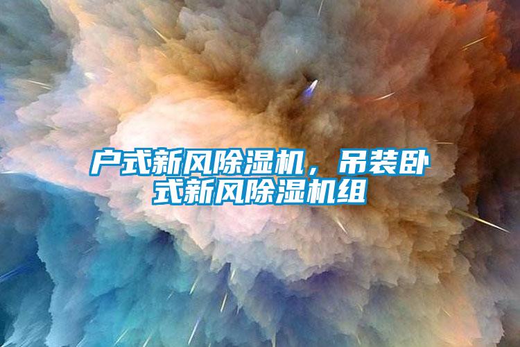 戶式新風(fēng)除濕機(jī)，吊裝臥式新風(fēng)除濕機(jī)組