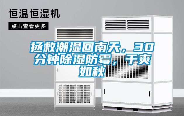 拯救潮濕回南天，30分鐘除濕防霉，干爽如秋