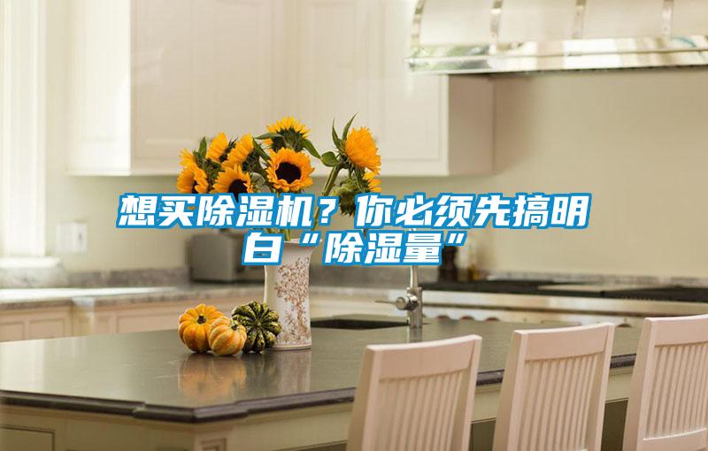 想買除濕機(jī)？你必須先搞明白“除濕量”