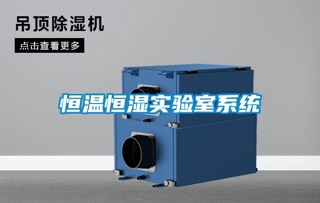 恒溫恒濕實(shí)驗室系統(tǒng)
