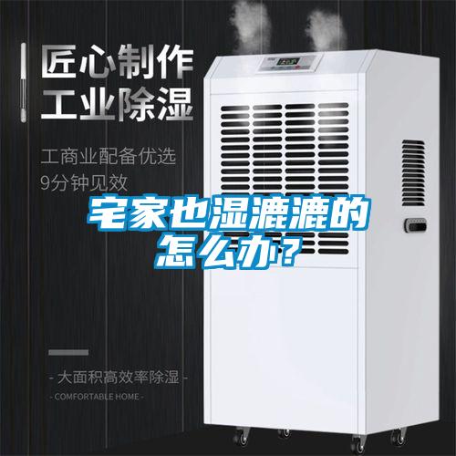 宅家也濕漉漉的怎么辦？