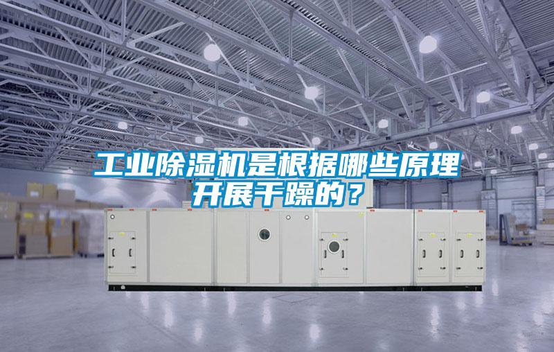 工業(yè)除濕機(jī)是根據(jù)哪些原理開展干躁的？