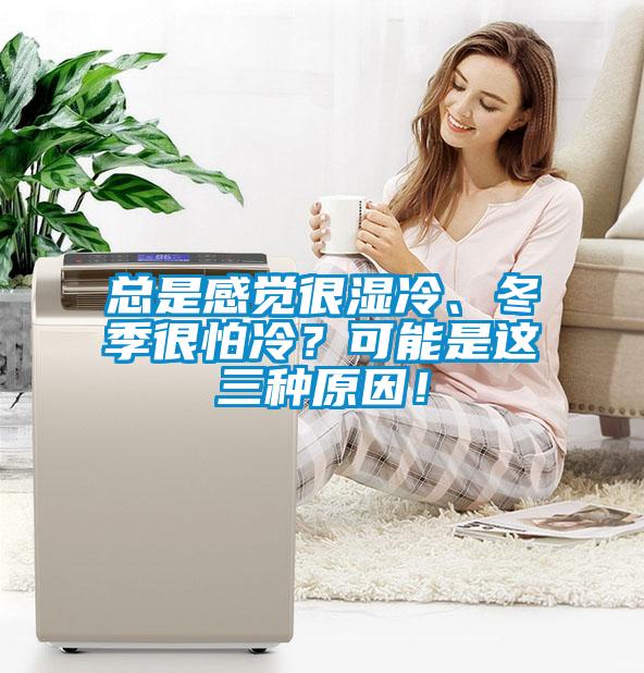 總是感覺很濕冷、冬季很怕冷？可能是這三種原因！