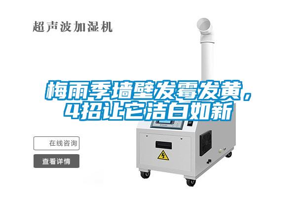 梅雨季墻壁發(fā)霉發(fā)黃，4招讓它潔白如新