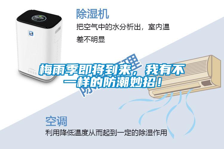 梅雨季即將到來，我有不一樣的防潮妙招！