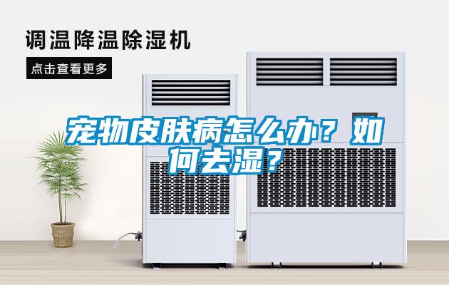 寵物皮膚病怎么辦？如何去濕？