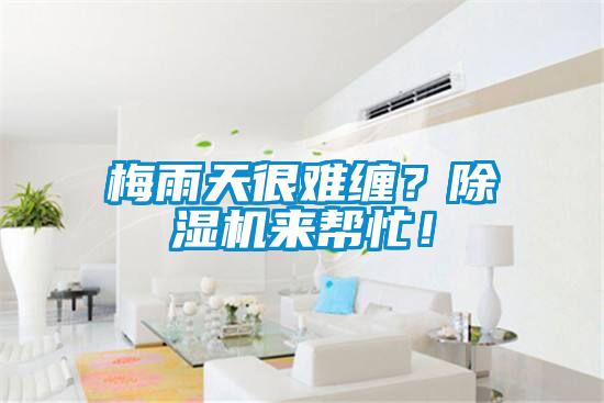 梅雨天很難纏？除濕機來幫忙！