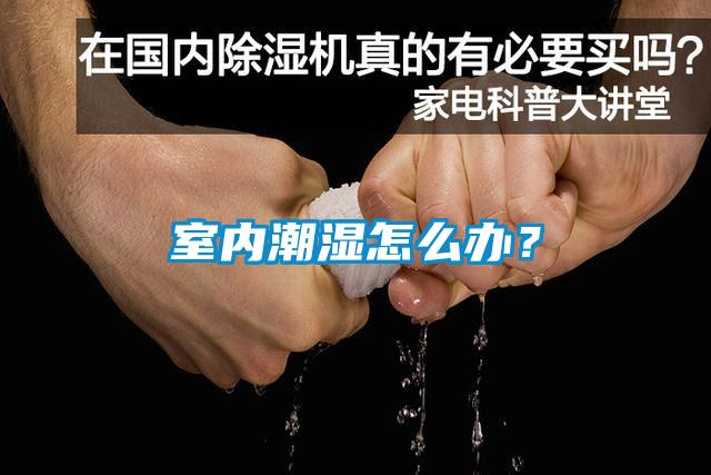 室內(nèi)潮濕怎么辦？