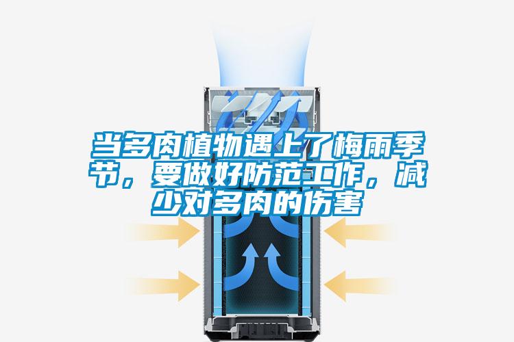 當(dāng)多肉植物遇上了梅雨季節(jié)，要做好防范工作，減少對多肉的傷害