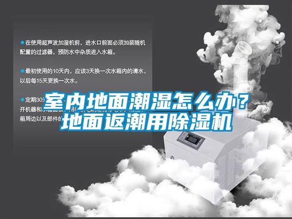 室內(nèi)地面潮濕怎么辦？地面返潮用除濕機(jī)