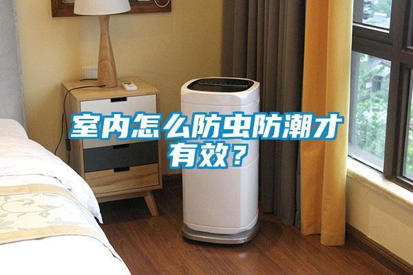 室內(nèi)怎么防蟲防潮才有效？