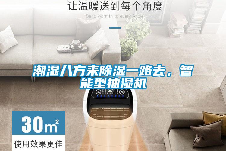 智能觸控除濕機，智能除濕無須等待