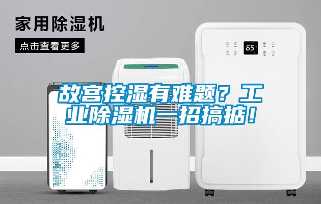 故宮控濕有難題？工業(yè)除濕機(jī)一招搞掂！
