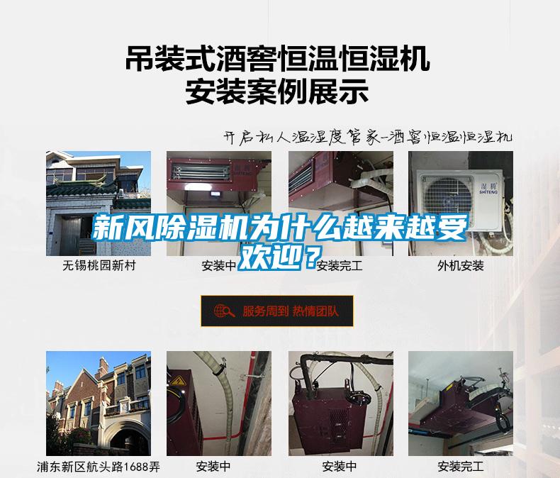 新風(fēng)除濕機為什么越來越受歡迎？