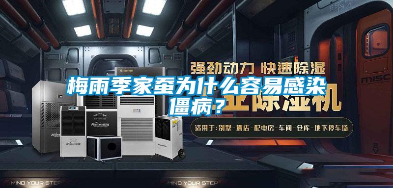 梅雨季家蠶為什么容易感染僵??？