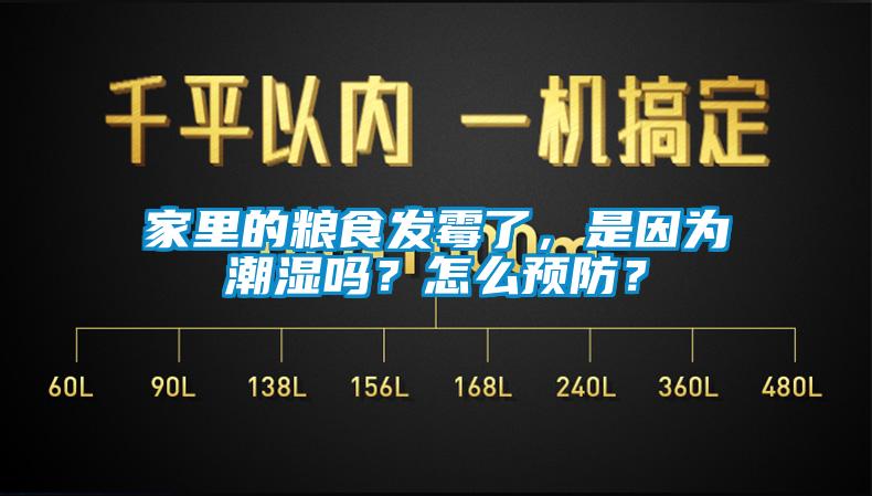 家里的糧食發(fā)霉了，是因?yàn)槌睗駟?？怎么預(yù)防？