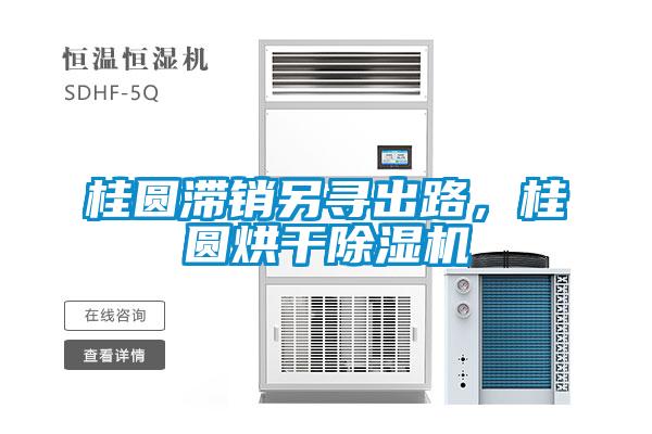 桂圓滯銷另尋出路，桂圓烘干除濕機