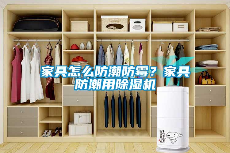 家具怎么防潮防霉？家具防潮用除濕機(jī)