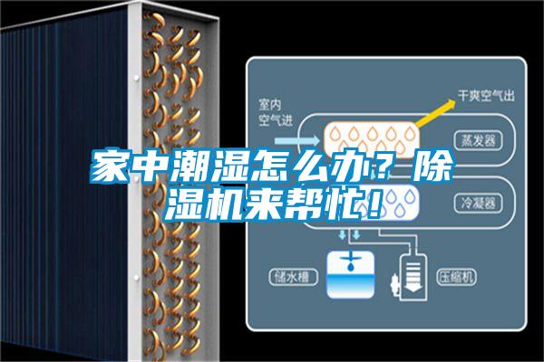 家中潮濕怎么辦？除濕機(jī)來(lái)幫忙！