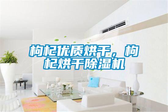 枸杞優(yōu)質烘干，枸杞烘干除濕機