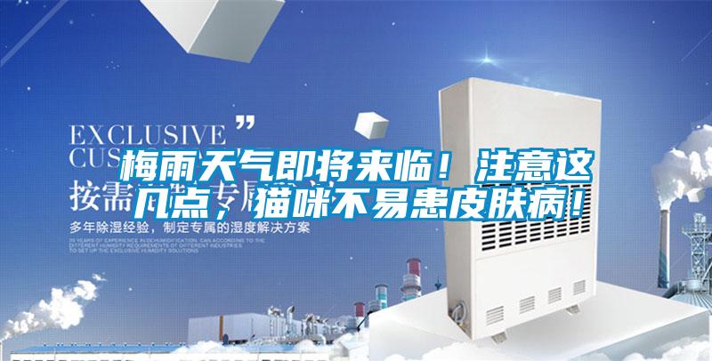 梅雨天氣即將來臨！注意這幾點(diǎn)，貓咪不易患皮膚?。?/></p>
						    <p style=