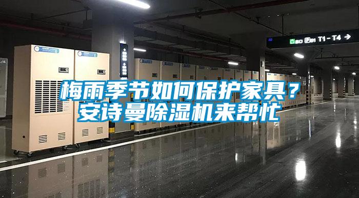 梅雨季節(jié)如何保護(hù)家具？安詩(shī)曼除濕機(jī)來(lái)幫忙