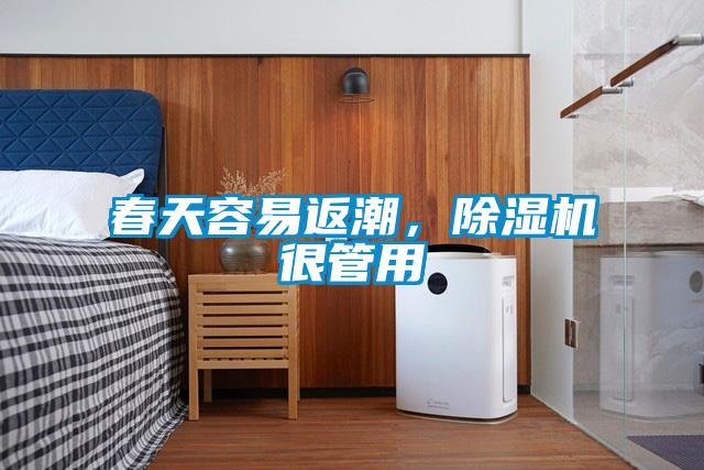 春天容易返潮，除濕機很管用