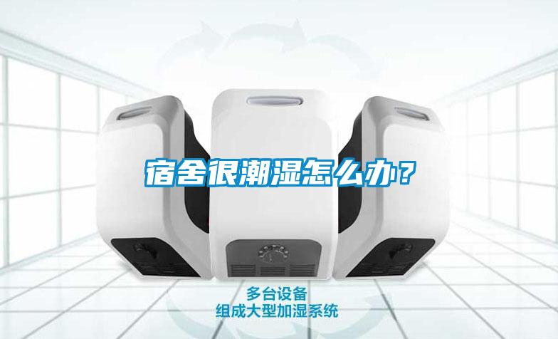 宿舍很潮濕怎么辦？