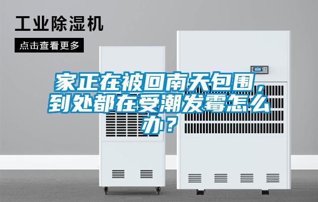 家正在被回南天包圍，到處都在受潮發(fā)霉怎么辦？