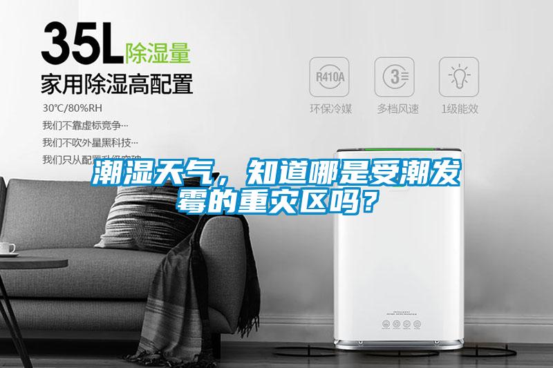 潮濕天氣，知道哪是受潮發(fā)霉的重災(zāi)區(qū)嗎？