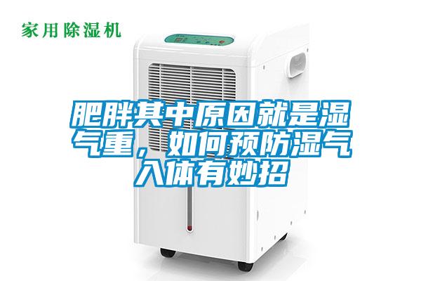肥胖其中原因就是濕氣重，如何預(yù)防濕氣入體有妙招