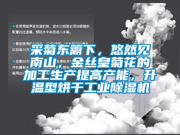 采菊東籬下，悠然見南山，金絲皇菊花的加工生產(chǎn)提高產(chǎn)能，升溫型烘干工業(yè)除濕機