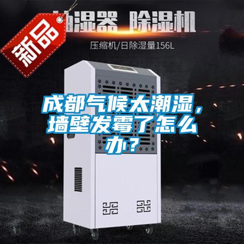 成都氣候太潮濕，墻壁發(fā)霉了怎么辦？
