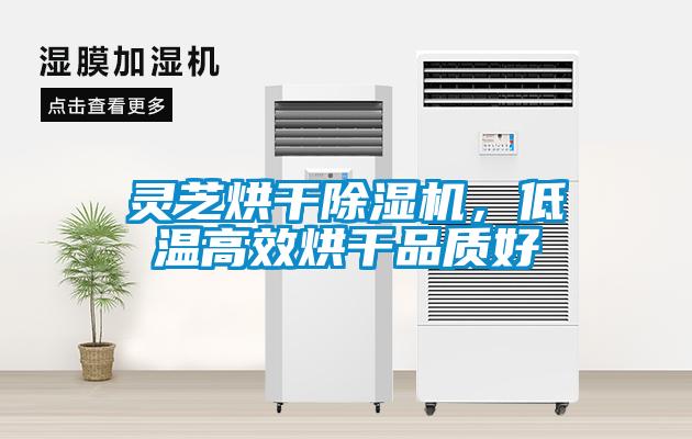 靈芝烘干除濕機(jī)，低溫高效烘干品質(zhì)好