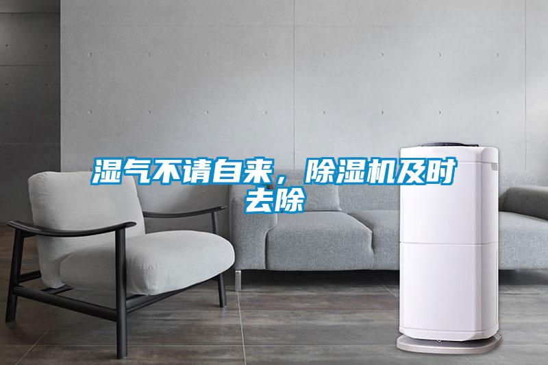 濕氣不請自來，除濕機及時去除