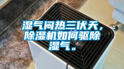 濕氣悶熱三伏天，除濕機如何驅(qū)除濕氣。