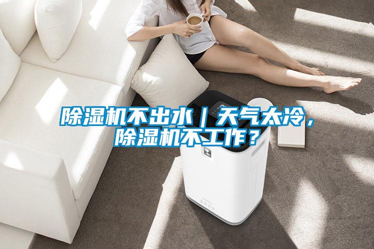 除濕機(jī)不出水｜天氣太冷，除濕機(jī)不工作？