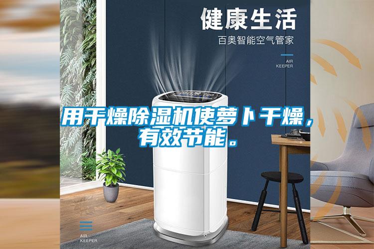 用干燥除濕機(jī)使蘿卜干燥，有效節(jié)能。