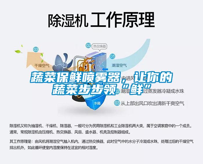 蔬菜保鮮噴霧器，讓你的蔬菜步步領(lǐng)“鮮”