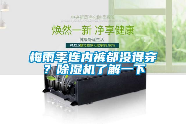 梅雨季連內(nèi)褲都沒(méi)得穿？除濕機(jī)了解一下