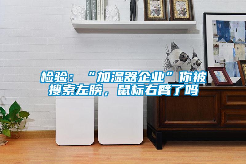 檢驗(yàn)：“加濕器企業(yè)”你被搜索左膀，鼠標(biāo)右臂了嗎