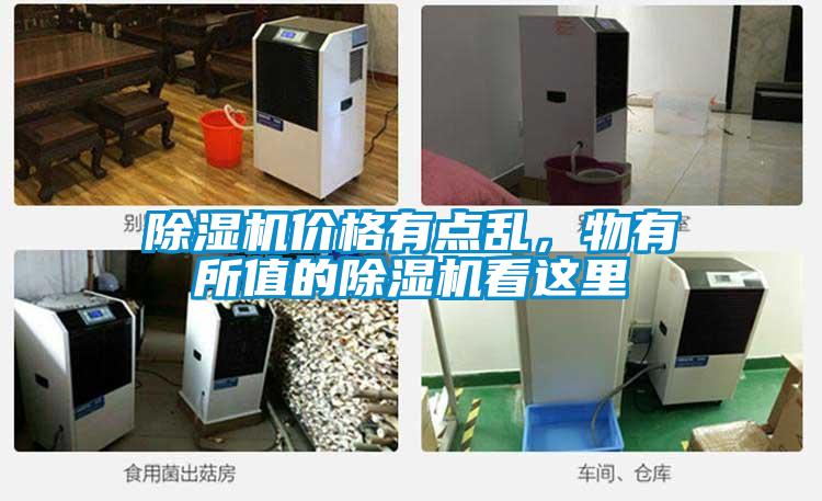 除濕機(jī)價(jià)格有點(diǎn)亂，物有所值的除濕機(jī)看這里
