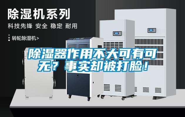 除濕器作用不大可有可無？事實卻被打臉！