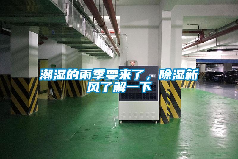 潮濕的雨季要來了，除濕新風了解一下
